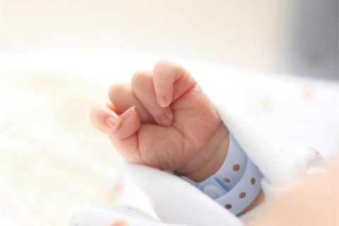 http://qqbee.cn/post/202.html|代生助孕