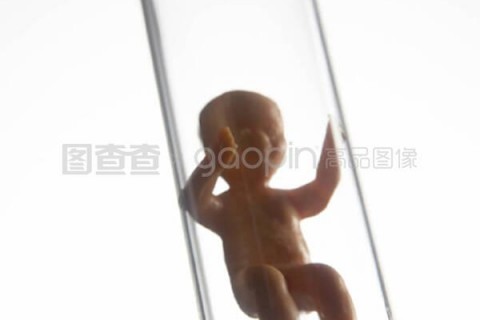 http://qqbee.cn/post/207.html|代生助孕