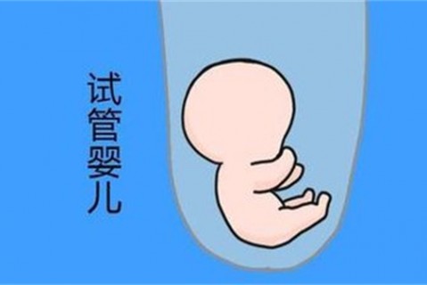 http://qqbee.cn/post/204.html|供卵助孕